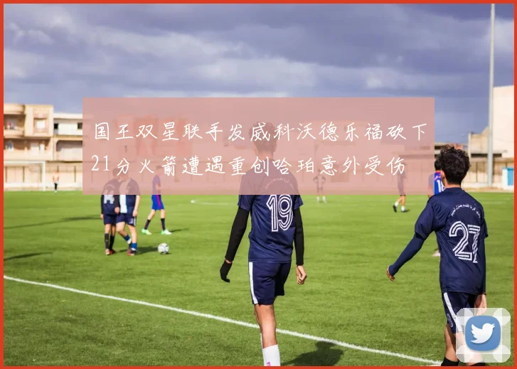 国王双星联手发威科沃德乐福砍下21分火箭遭遇重创哈珀意外受伤
