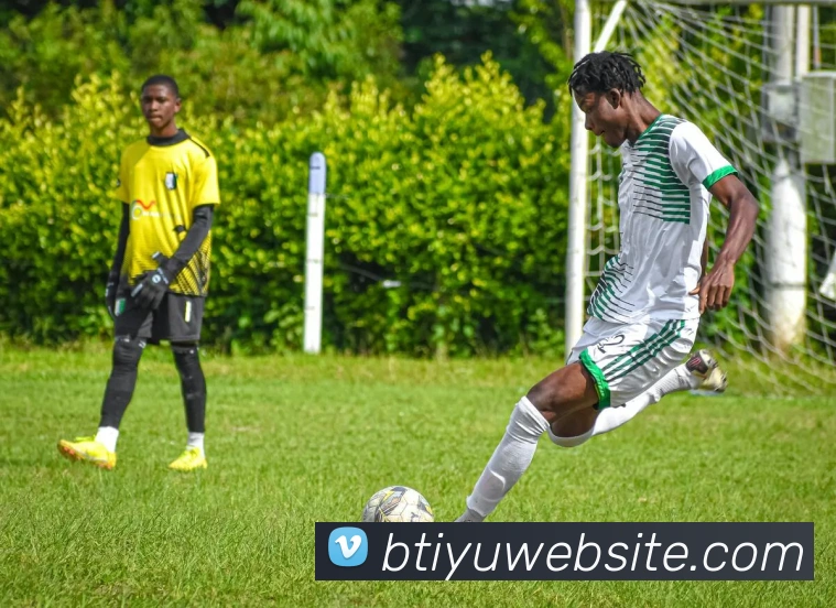 多媒体互动体验